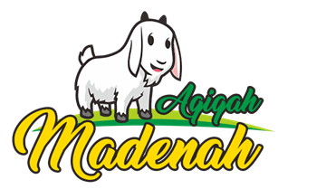 Aqiqah Madenah - 0878-8346-9070