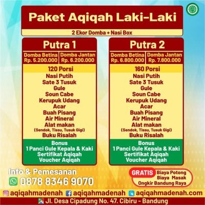 paket aqiqah madenah