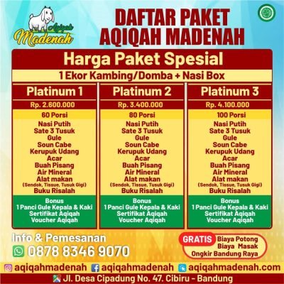 Paket Aqiqah Madenah